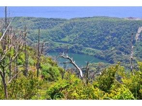 【東京都 三宅島】三宅島の自然を満喫！ネイチャーガイド1日ツアー