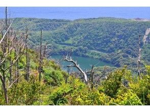 【東京都 三宅島】離島ならではの自然を満喫！ネイチャーガイド半日ツアー