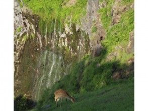 【北海道・知床】断崖から流れ落ちる滝を目指して散策!フレペの滝ネイチャーウォッチングの画像