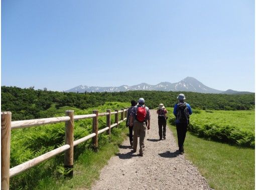 知床ネイチャーオフィス(Shiretoko Nature Office)