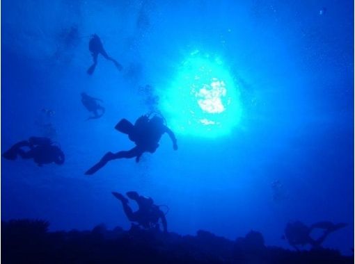 [คากาวะทะเลเซะโตะใน] เรียนรู้ที่หลากหลายของท้องทะเล! หลักสูตรขั้นสูงนักประดาน้ำの画像