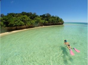 【沖縄・石垣島シュノーケリング】泳げなくても大丈夫！石垣島のキレイな海を覗いてみよう！1日コース！