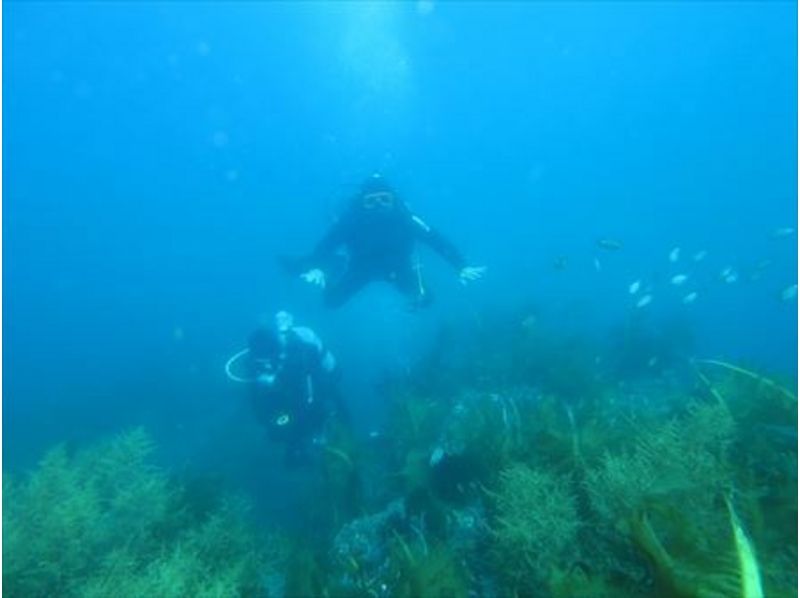 【中国・島根】安く、楽しく！！日帰り体験ダイビング～！