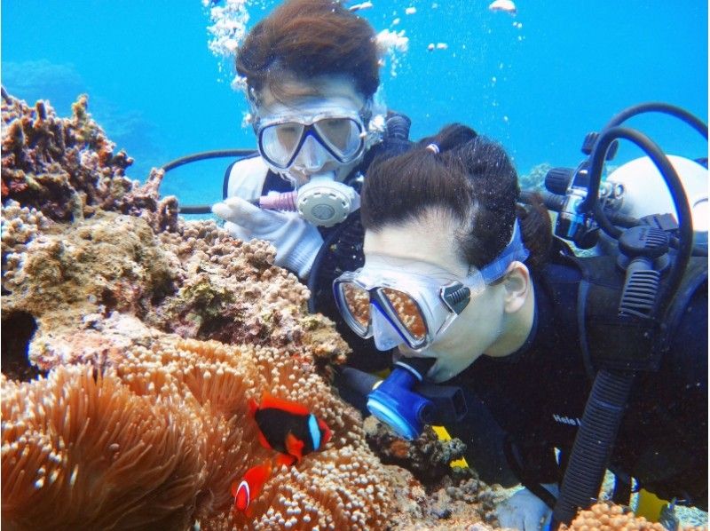Ishigaki island In the beautiful sea of 【 Diving Experience]! Effective use of limited travel time, half-day Experience Diving course! !の紹介画像