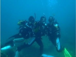 【Kochi / Shiba】 License unnecessary / entrance to diver 【Experience diving】の画像