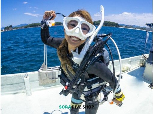 【大阪発・和歌山】ライセンス不要！和歌山の海で綺麗な魚を間近で見よう！体験ダイビングコース！記念写真無料プレゼント！の画像