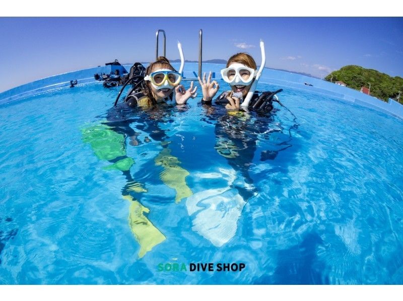 【大阪発・和歌山】ライセンス不要!和歌山の海で綺麗な魚を間近で見よう!体験ダイビングコース