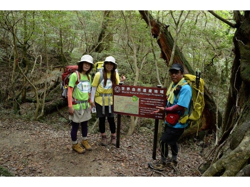 【鹿児島・屋久島】九州最高峰を極める!宮之浦岳登山「完全貸切ガイド」9才から参加OK!