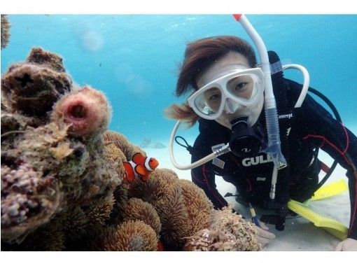 Super Summer Sale 2024 [Departing from Ishigaki Island - Ending at Taketomi Island] Small group tour for peace of mind! Experience diving on a deserted island and in the beautiful ocean! (Half-day course)の画像