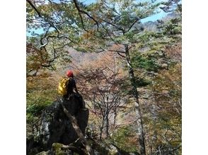 [Nara beginner] Wasa also Adventure Walking