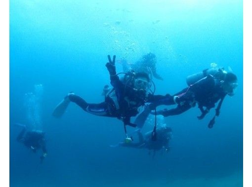 [Shizuoka ・ Izu] refresh Diving(Day return sea course · half-day Pool course)の画像