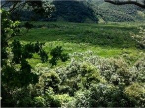 [Kagoshima / Amami Oshima] Guided Kinsakuhara walking trekking tour (about 3 hours) 2 people or more 0 years old ~ participation OK