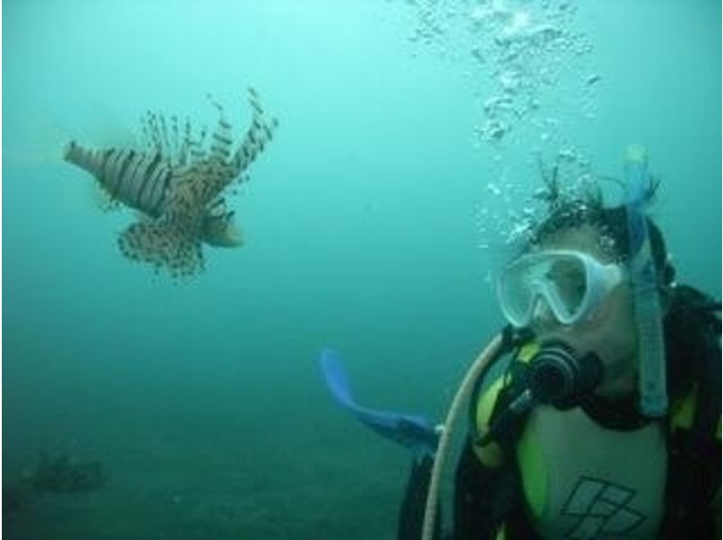【神奈川／湘南】通年楽しめる！海の世界をのぞいてみよう！体験ダイビング