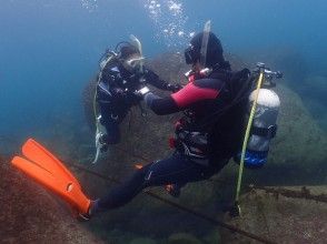 【神奈川／湘南】通年楽しめる！海の世界をのぞいてみよう！体験ダイビングの画像