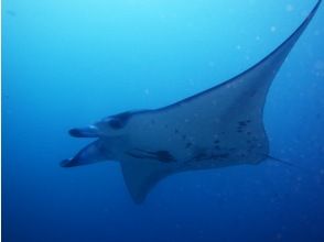 [Nagoya] PADI Open Water Diver [Getting licenses] Manta course