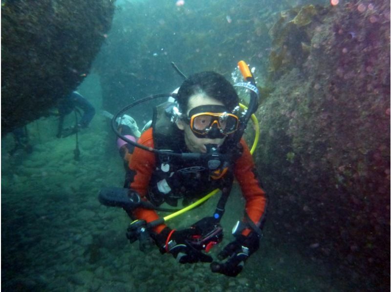 【名古屋】PADI　eラーニング・オープン・ウォーター・ダイバー【ライセンス取得】マンタコース