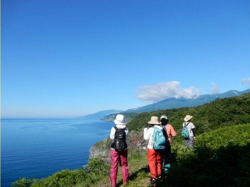 【北海道・知床】断崖と海を眺める！知床の森ウォーク