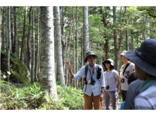 北海道 知床 夏プログラム一番人気 知床五湖ガイドツアー 世界自然遺産 知床の森を散策 地域共通クーポンok 現地払いのみ アクティビティジャパン