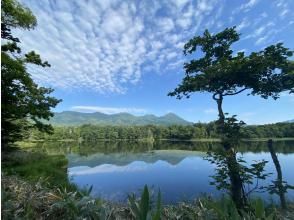 【北海道知床】最受歡迎的暑期節目！知床五湖導覽遊～世界自然遺產知床森林漫步～の画像