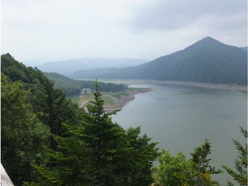 【北海道・名寄】マウンテンバイクで北海道の大自然を散策! ★7600円コース★の紹介画像