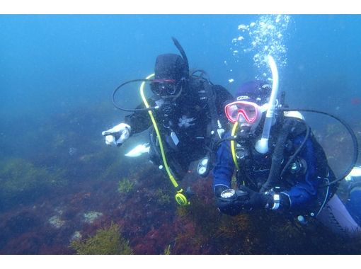 [Shizuoka Higashiizu] PADI Open Water Diver [ส่วนตัว] (e-learning)の画像