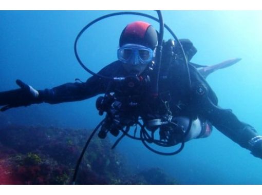 【 静冈 / 东伊豆 】PADI开放水域潜水员课程の画像