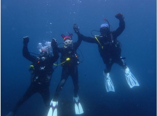 [靜岡東伊豆] PADI水肺潛水員課程の画像