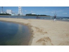 【愛知・伊勢湾】カイトボード完全マスター(5日間コース)の画像
