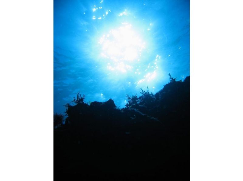 [ 东京 /伊豆大岛]伊豆岛的海上指南！ ★有趣的深潜 ★の紹介画像
