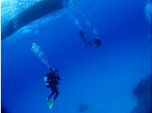 [沖繩石垣島]歡迎詢價！的粉絲潛水詳細回應[1〜3個潛水/午餐]の画像