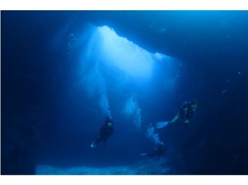 [ 가고시마 아마미 오시마] 낮과는 다른 아마미의 바다를 둘러싼! 나이트다이빙の画像
