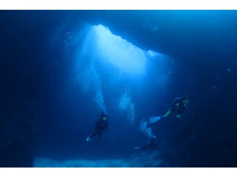 [ 가고시마 아마미 오시마] 낮과는 다른 아마미의 바다를 둘러싼! 나이트다이빙の紹介画像