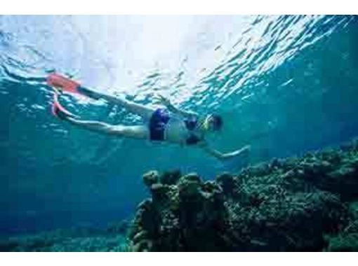 [โอกินาว่าเกาะอิชิงากิ] คุณสามารถเพลิดเพลินกับการสังเกตใต้น้ำได้อย่างง่ายดายในทะเลที่สวยงามการดำน้ำตื้น(Snorkeling)แผน 1 วัน【พร้อมอาหารกลางวัน】の画像