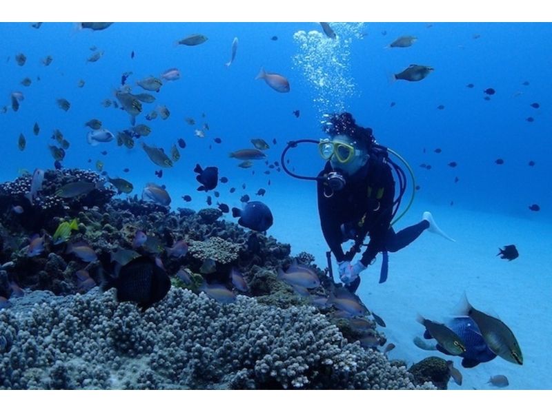 【鹿児島・奄美大島】初心者でも安心！奄美の海を堪能しよう！体験ダイビングの紹介画像