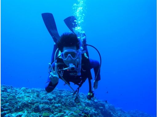 [鹿兒島奄美大島]許可！開放水域潛水員課程享受認真跳水の画像