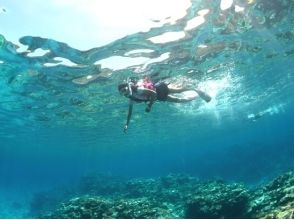 [Okinawa Kerama] coral reef and sea turtle tour for 3.5 hours [boat snorkel]