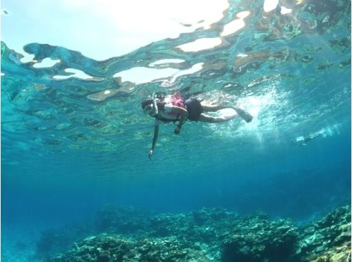 [ 오키나와 · 게 라마] 산호초와 바다 거북 투어 3.5 시간 [보트 스노클링]の画像