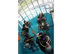 [Hyogo Kobe] Licensing Course (Scuba Diver course)