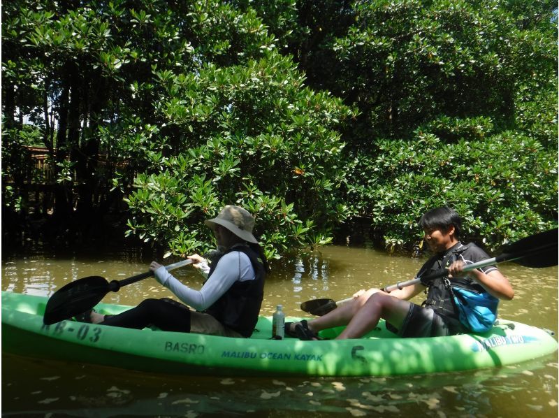 [Okinawa Billion Shukawa] ★ can participate from 2 years old! ★ Enjoy the mangrove forest leisurely! mangrove Kayak Toursの紹介画像