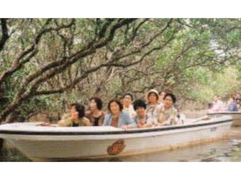 【鹿児島・奄美大島】マングローブガイド付き観光遊覧船~小さなお子様連れも楽しめます!!