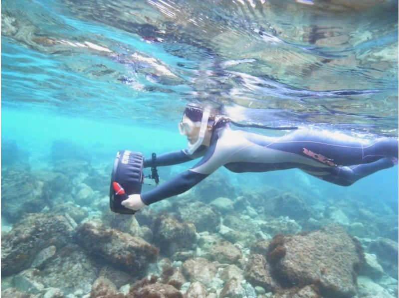 [เฮียวโกะ-อาวาจิชิมะ] พร้อมให้เช่าอุปกรณ์ว่ายน้ำการดำน้ำตื้น(Snorkeling)แผนการบรรยาย (1 วันบาร์บีคิวบริการให้เช่า)の紹介画像