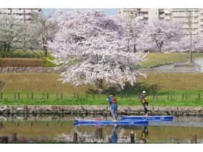 Weekdays only! Tokyo SUP tour with cherry blossom viewing and the spectacular view of Skytree! ♪ A guide will also support single female participants.