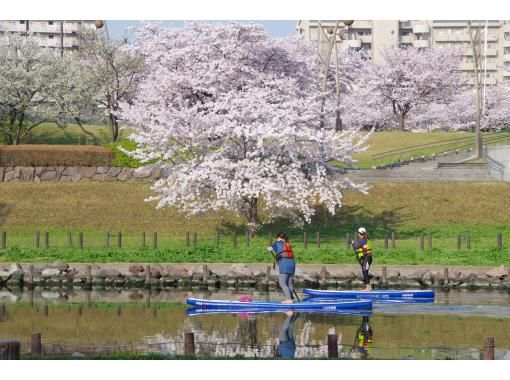 平日限定！　東京SUPツアー    花見とスカイツリーの絶景！　♪女性1名の参加もガイドがサポートいたします。の画像