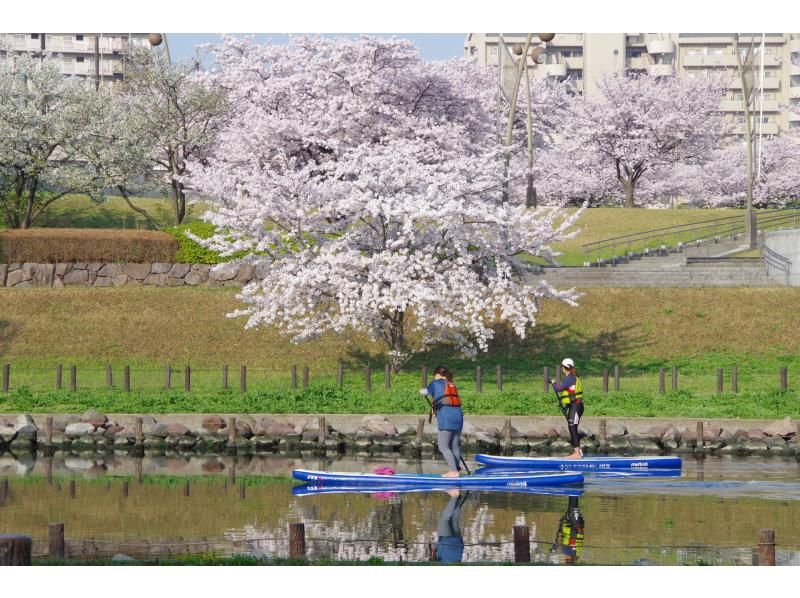 天空之樹SUP之旅の紹介画像