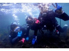 [Miyazaki prefecture Miyazaki] Discover Scuba program (experience program in the ocean)