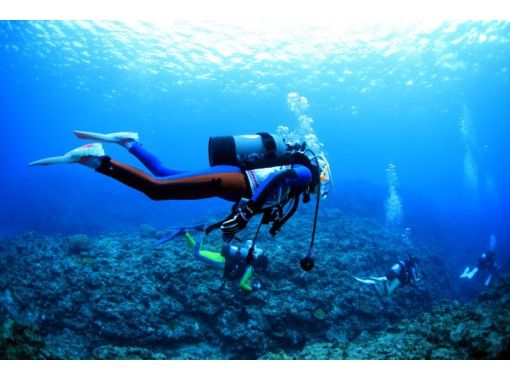 Kagoshima Botsu Even Beginners Are Safe Ukiuki Experience Diving Course Activityjapan