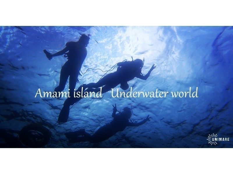 【鹿児島・奄美大島】1ツアー1組限定！「シュノーケリング＆ネイチャーツアー」選べる4コース