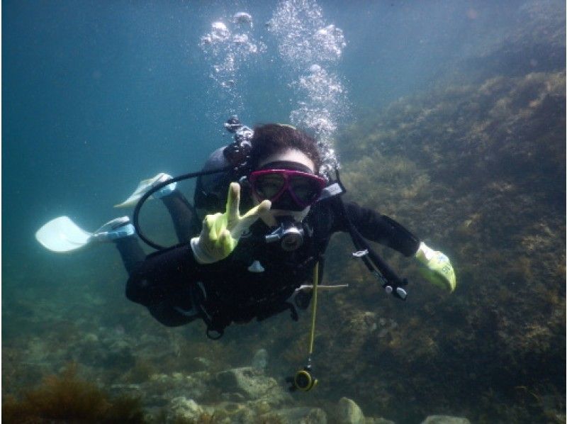 [福井·越前]我觉得自己像个潜水员！经验深潜（半天课程）の紹介画像