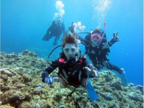 Enjoy summer early! [Departing from Ishigaki Island] Small group tour for peace of mind! Land on the uninhabited island of your dreams & enjoy diving in the beautiful ocean! (1 day course)