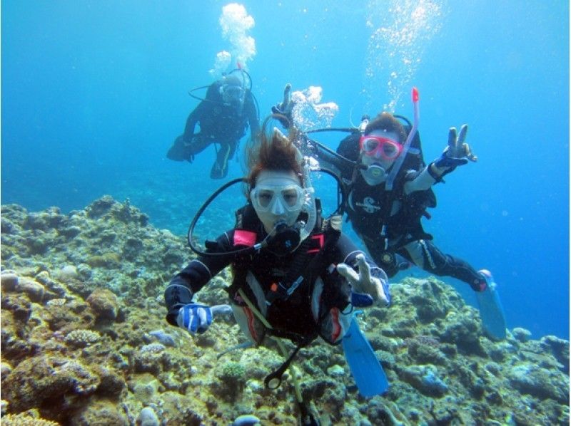 [Ishigaki island departure and arrival] Reliable small Number of participants system! Landing on the uninhabited island of longing & Churaumi FUN Diving! (1 day course)の紹介画像